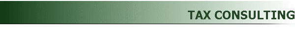 TAX CONSULTING